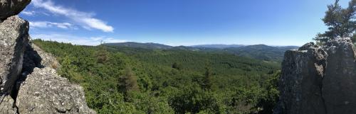 IMG_5510.JPG